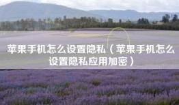 苹果手机怎么设置隐私（苹果手机怎么设置隐私应用加密）