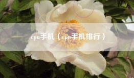 cpu手机（cpu手机排行）