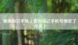 查询自己手机（查询自己手机号绑定了什么）