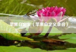 苹果自定义（苹果自定义录音）