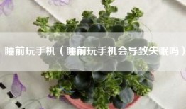 睡前玩手机（睡前玩手机会导致失眠吗）