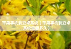 苹果手机装安卓系统（苹果手机装安卓系统需要多久）