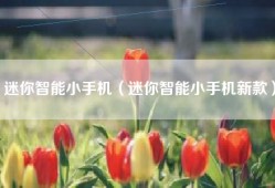 迷你智能小手机（迷你智能小手机新款）