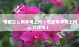 电脑怎么用手机上网（电脑用手机上网网速慢）
