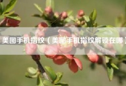 美图手机指纹（美图手机指纹解锁在哪）