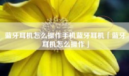 蓝牙耳机怎么操作手机蓝牙耳机「蓝牙耳机怎么操作」