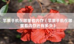 苹果手机在哪里看内存（苹果手机在哪里看内存还有多少）