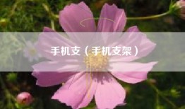 手机支（手机支架）