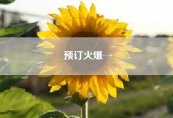 预订火爆→