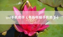 ipad手机助手（平板电脑手机助手）