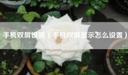 手机双屏设置（手机双屏显示怎么设置）