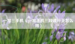 一加三手机（一加手机三段式开关怎么用）