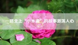 一路北上“小水滴”的故事激荡人心