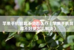 苹果手机屏幕不灵怎么办（苹果手机屏幕不好使怎么解决）