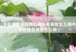 手机键盘亮度怎么调手机亮度怎么调「手机键盘亮度怎么调」