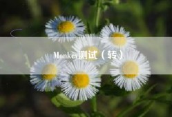 Monkey测试（转）