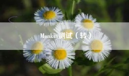 Monkey测试（转）
