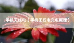 手机无线电（手机无线电充电原理）