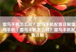 雷鸟手机怎么样？雷鸟手机配置详解雷鸟手机「雷鸟手机怎么样？雷鸟手机配置详解」