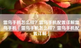 雷鸟手机怎么样？雷鸟手机配置详解雷鸟手机「雷鸟手机怎么样？雷鸟手机配置详解」