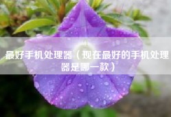 最好手机处理器（现在最好的手机处理器是哪一款）