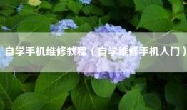 自学手机维修教程（自学维修手机入门）