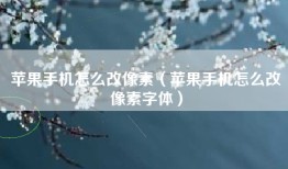 苹果手机怎么改像素（苹果手机怎么改像素字体）