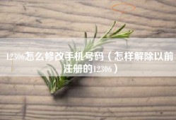 12306怎么修改手机号码（怎样解除以前注册的12306）