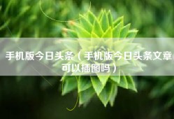 手机版今日头条（手机版今日头条文章可以插图吗）