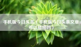 手机版今日头条（手机版今日头条文章可以插图吗）
