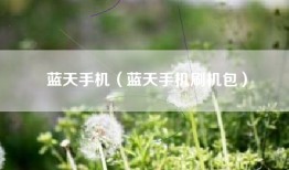 蓝天手机（蓝天手机刷机包）