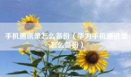 手机通讯录怎么备份（华为手机通讯录怎么备份）