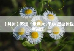 （月运）苏珊·米勒2025年3月星座运程摩羯座