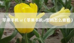 苹果手机 id（苹果手机id密码怎么查看）