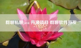 群聊私聊java 开源项目 群聊软件开发