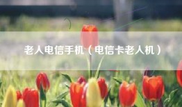老人电信手机（电信卡老人机）