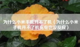 为什么小米手机开不了机（为什么小米手机开不了机充电也没反应）