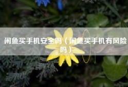 闲鱼买手机安全吗（闲鱼买手机有风险吗）