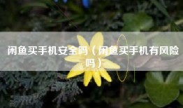 闲鱼买手机安全吗（闲鱼买手机有风险吗）