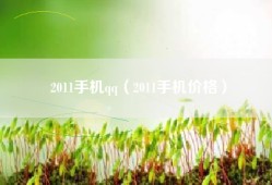 2011手机qq（2011手机价格）