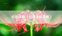 红包手机（红包手机壁纸）