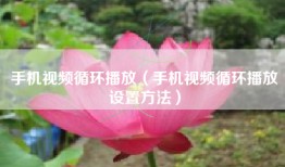 手机视频循环播放（手机视频循环播放设置方法）