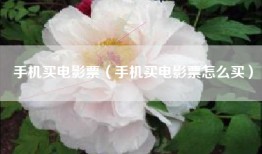 手机买电影票（手机买电影票怎么买）