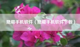隐藏手机软件（隐藏手机软件下载）