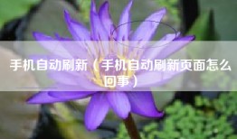 手机自动刷新（手机自动刷新页面怎么回事）