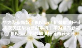 华为发布新款手机Pocket 2 折叠屏供应链再获关注华为新款手机「华为发布新款手机Pocket 2 折叠屏供应链再获关注」