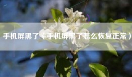 手机屏黑了（手机屏黑了怎么恢复正常）