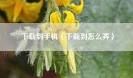 下载到手机（下载到怎么弄）