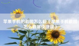 苹果手机的截图怎么截（苹果手机截图怎么截屏快捷键）