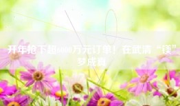 开年抢下超6000万元订单！在武清“镁”梦成真